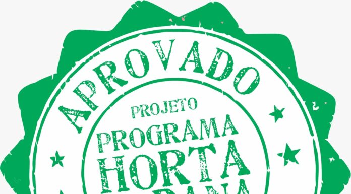 Aprovado Projeto de Lei que institui o programa HORTA URBANA